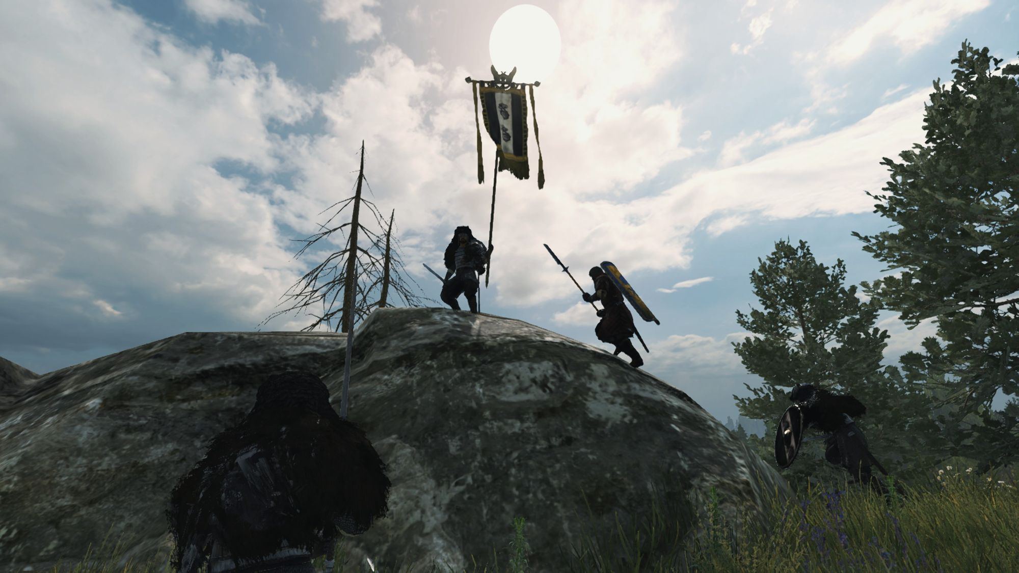 A Völsung bannerman holds the clan standard on a rock against the sun